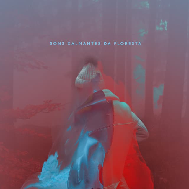 Sons calmantes da floresta - Música de cura para todos, Terapia de animais de estimação, Música de meditação - Academia de Música para Animais