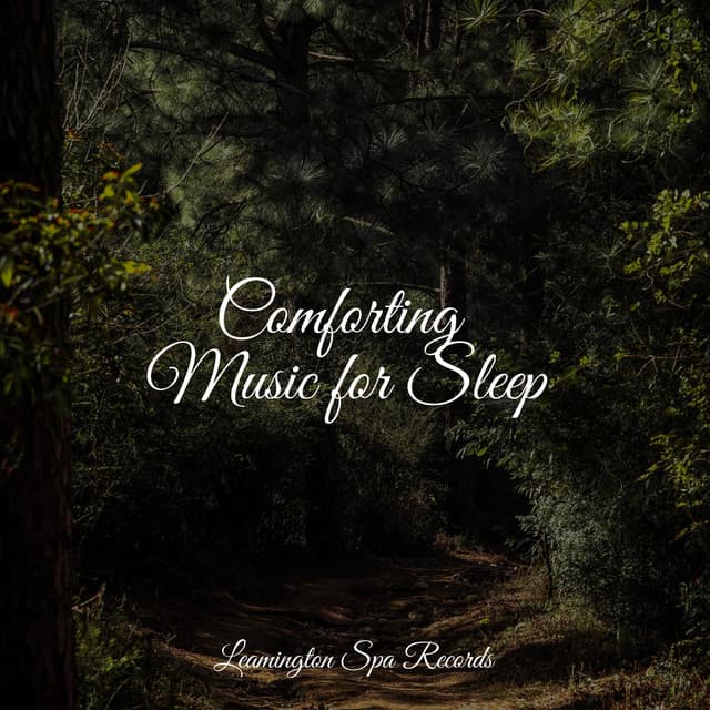 Comforting Music for Sleep - Rain Sounds Collection