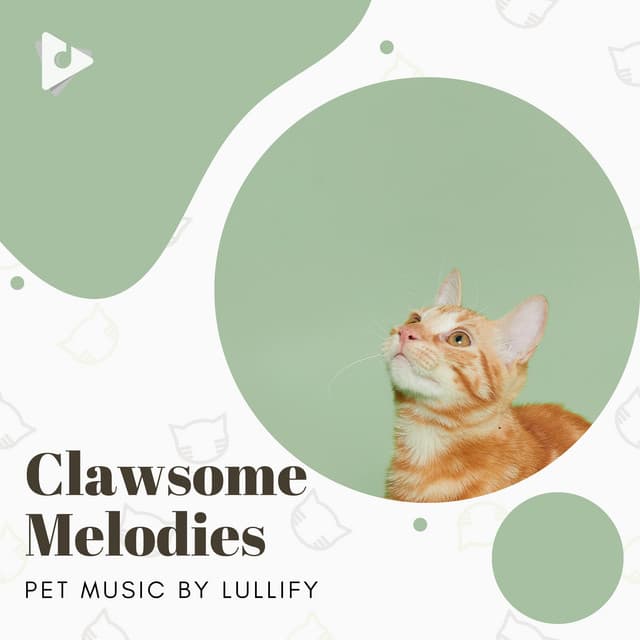 Clawsome Melodies - Pet Music by Lullify