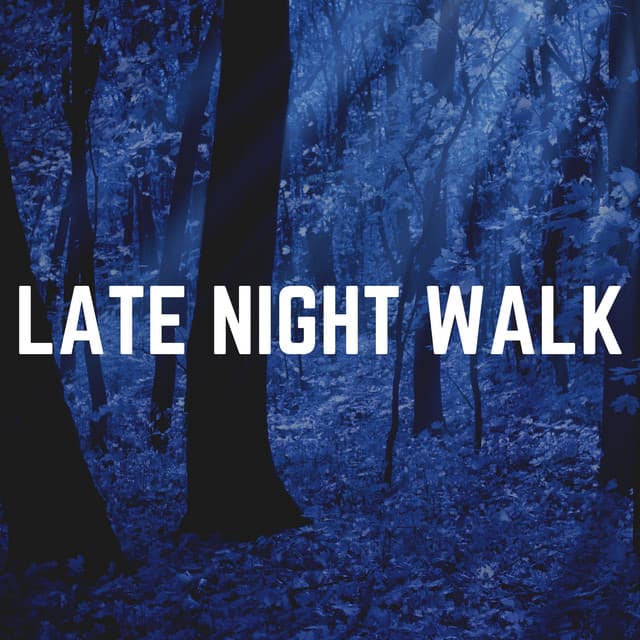 Late Night Walk - Cricket Sounds