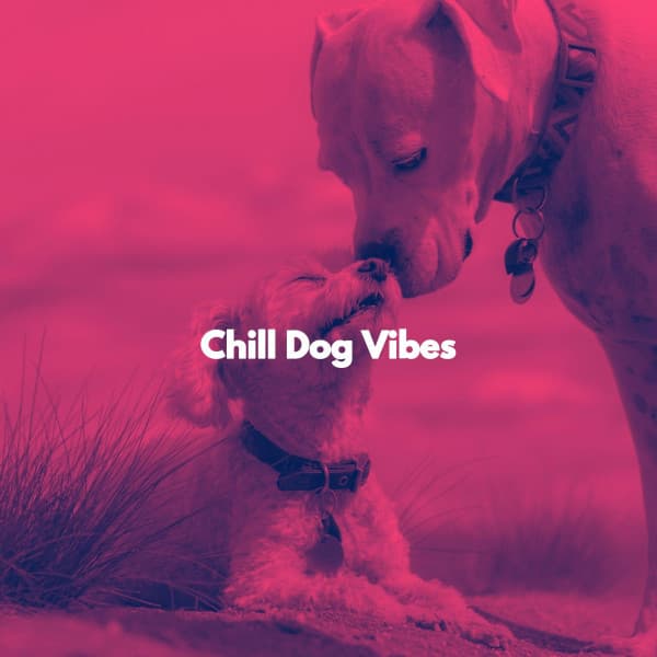 Chill Dog Vibes - Tranquilo Trabajar desde Casa