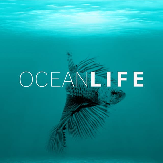 Ocean Life – Healing Water, Soft Music, New Age Relaxation, Sea Waves, Rain Sounds - Water Music Oasis