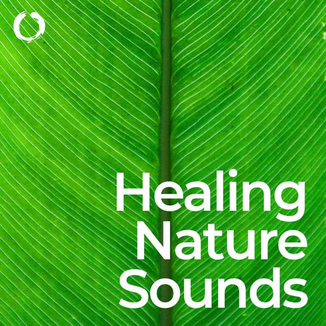 Healing Nature Sounds: Meditation and Mindfulness - Healing Meditation Relaxing Music Channel