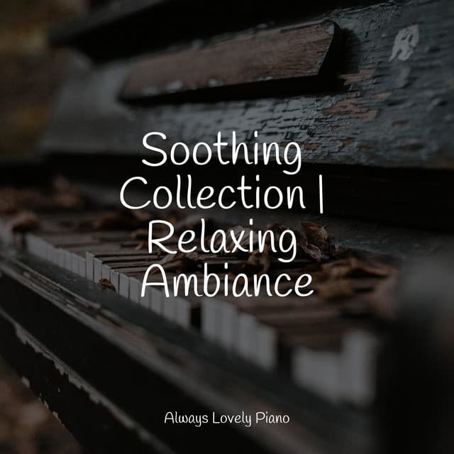 50 Mindful Living Melodies to Relax to - Piano Relajante