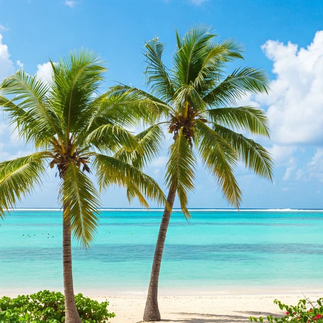 Paradise Summer Pulse - Dj. Juliano BGM