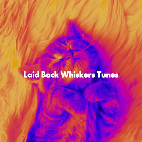 Laid Back Whiskers Tunes - Música Romántica para Bares en México City