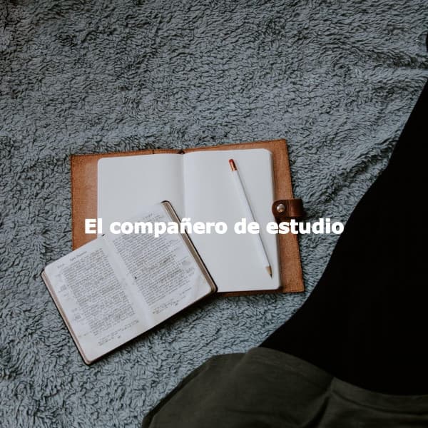 El compañero de estudio - Morning Calm Playlist