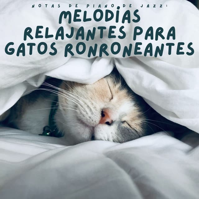 Notas De Piano De Jazz: Melodías Relajantes Para Gatos Ronroneantes - Cafetería Jazz Piano Escalofriante