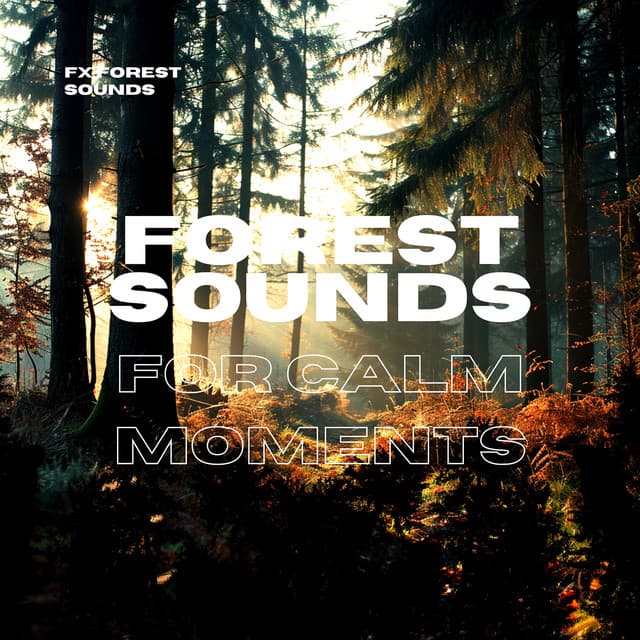 Forest Sounds for Calm Moments - FX Forest Sounds