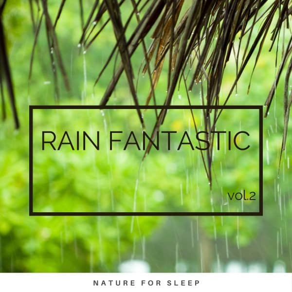 Rain Fantastic vol. 2 - 8k Sound Library