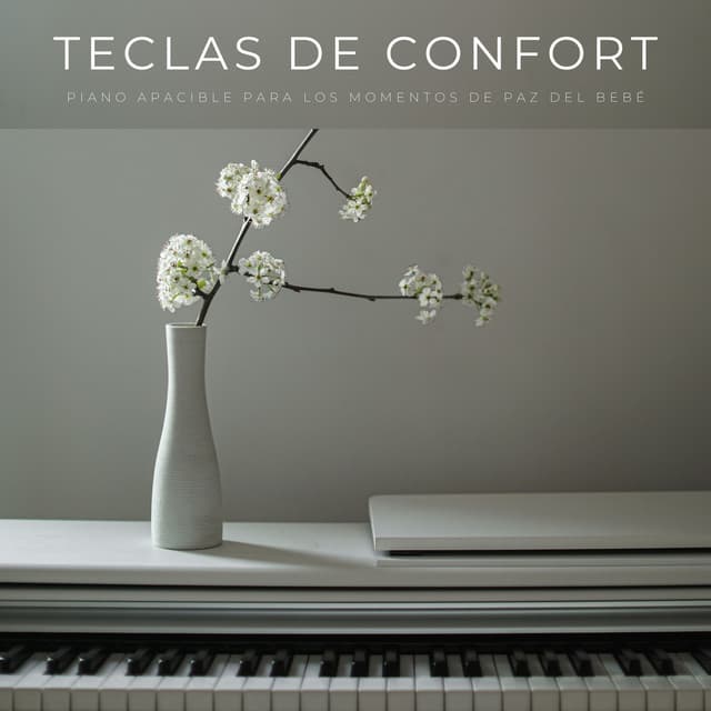 Teclas De Confort: Piano Apacible Para Los Momentos De Paz Del Bebé - Relajante Piano Jazz