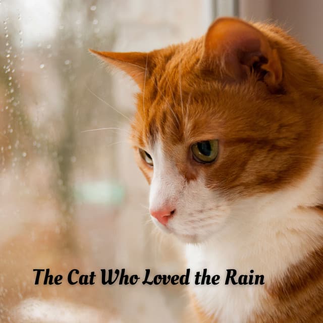 The Cat Who Loved the Rain - April Shower