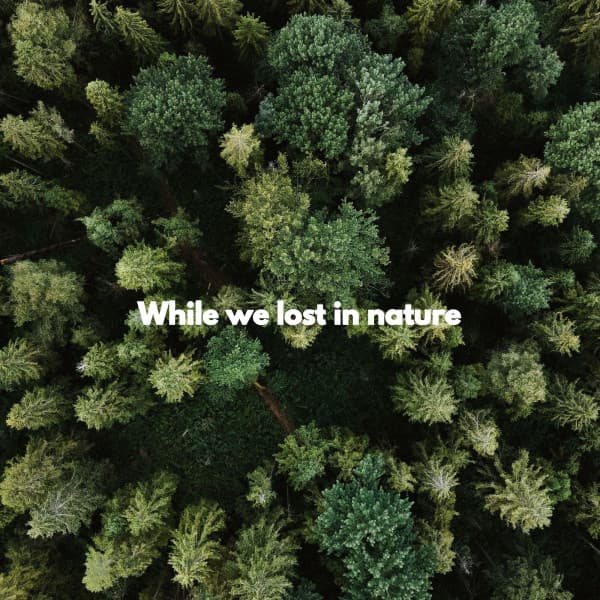 While we lost in nature - Frühstück Jazz