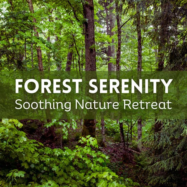Forest Serenity: Soothing Nature Retreat - Naturesque