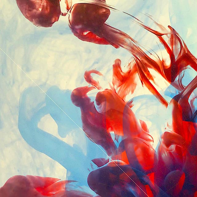 The Music You Need - Dinah Shore