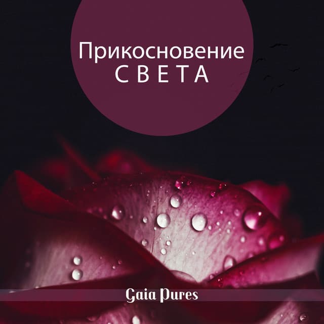 Прикосновение света - Gaia Pures