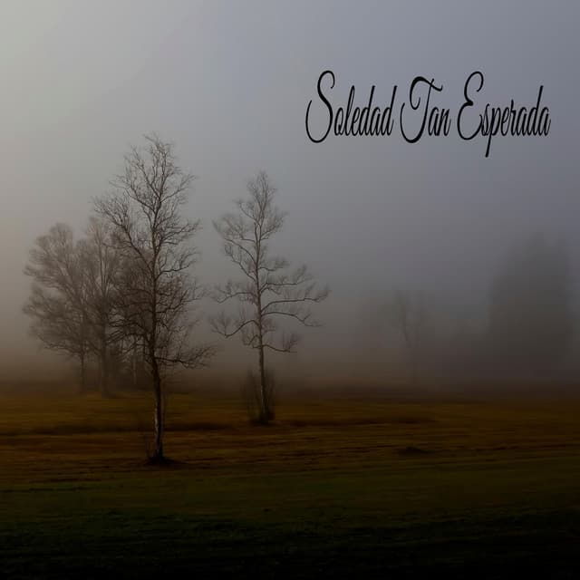 Soledad Tan Esperada - Colectivo de Música de Concentración