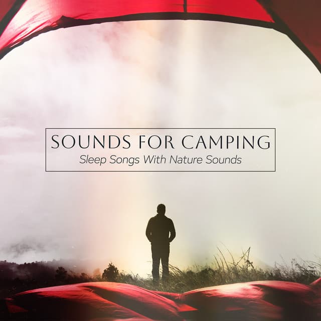 Sounds for Camping - Sleep Songs with Nature Sounds