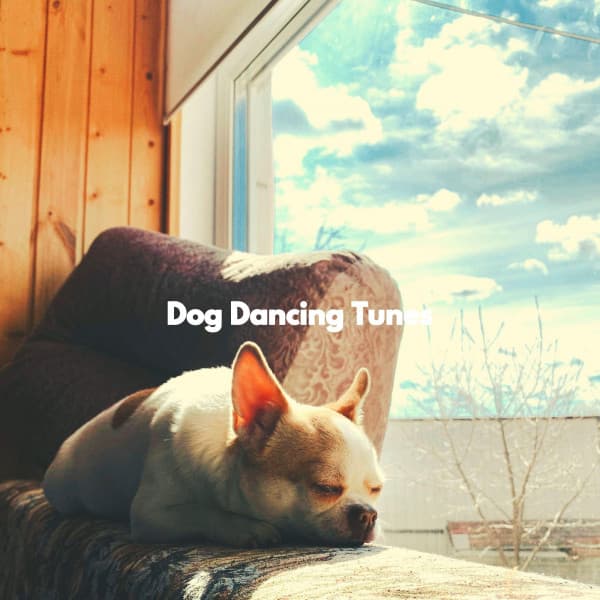 Dog Dancing Tunes - Music For Your Dog