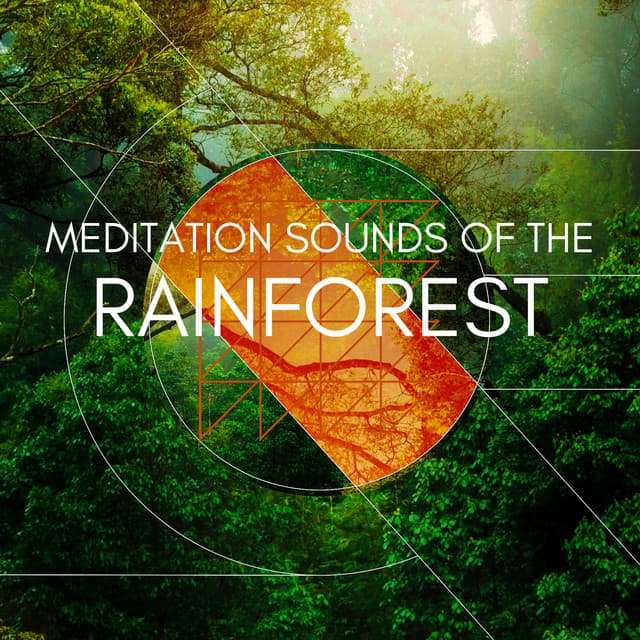 Meditation Sounds of the Rainforest - Natural Sounds