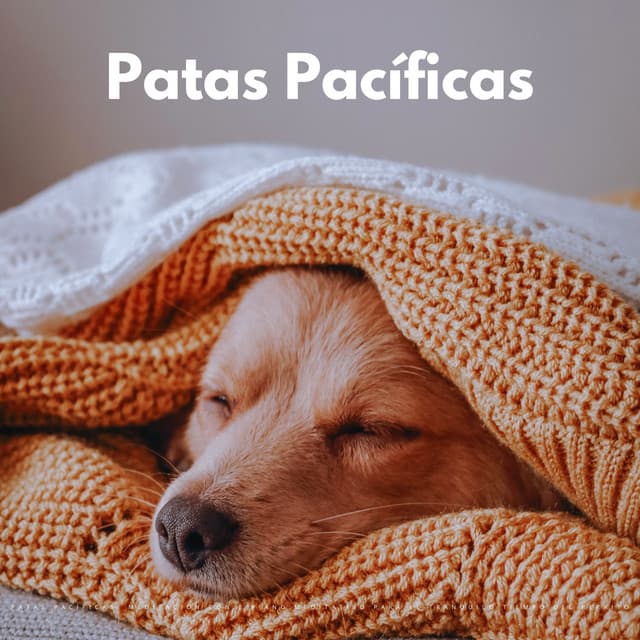 Patas Pacíficas: Meditación Con De Piano Meditativo Para El Tranquilo Tiempo Del Perrito - Música suave de piano