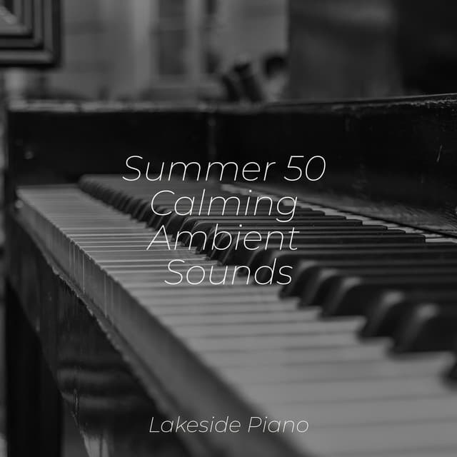 Summer 50 Calming Ambient Sounds - Sonidos de la Naturaleza Relajacion