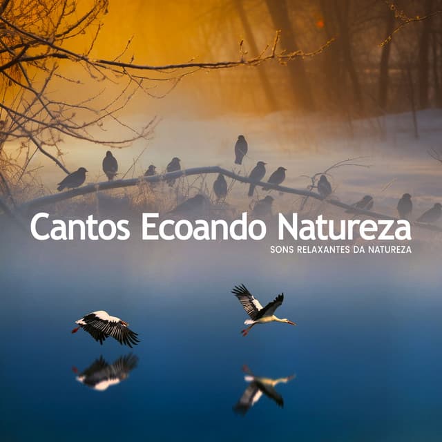 Sons Relaxantes Da Natureza