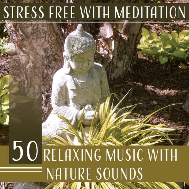 Stress Free with Meditation: 50 Relaxing Music with Nature Sounds, The Best Therapy for Stress Relief, Background for Yoga Class - Calming Sounds Sanctuary