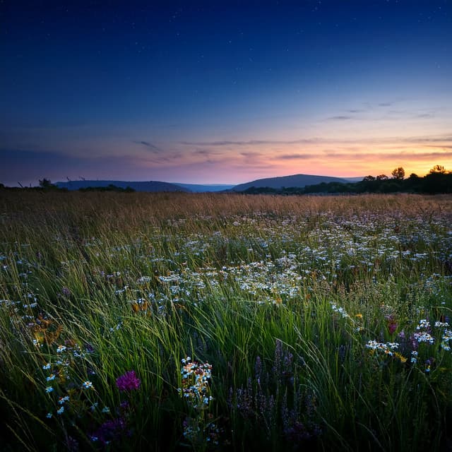 Orchestra Of Joyful Radiance: Uplifting Symphonies For Moments Of Celebration - Eloy Perez