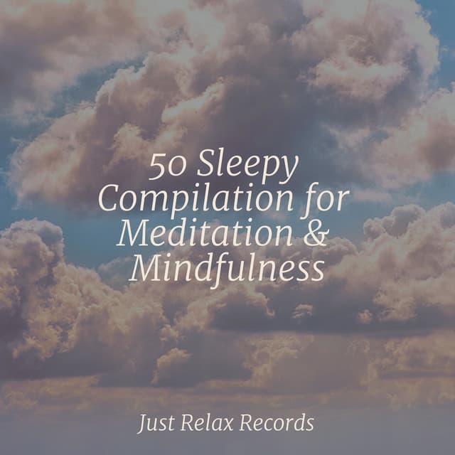 50 Sleepy Compilation for Meditation & Mindfulness - Reiki Music