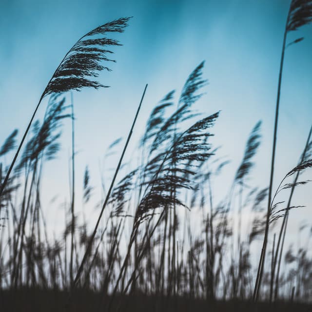 10 Hours White Noise: Soothing Hiss - White Noise for Babies