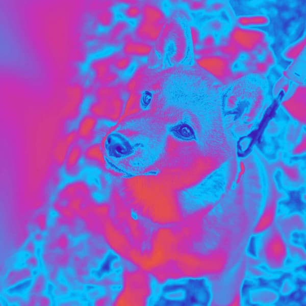 Music for Staying Warm Pups - Good Dog Music