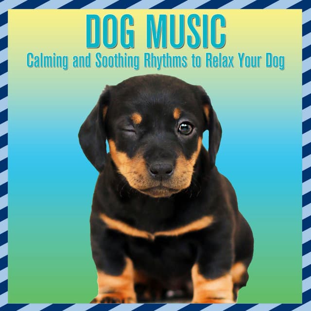 Dog Music: Calming and Soothing Rhythms to Relax Your Dog - Dog Music