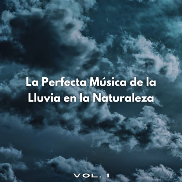 La Perfecta Música De La Lluvia En La Naturaleza Vol. 1 - Escuela de Lluvia