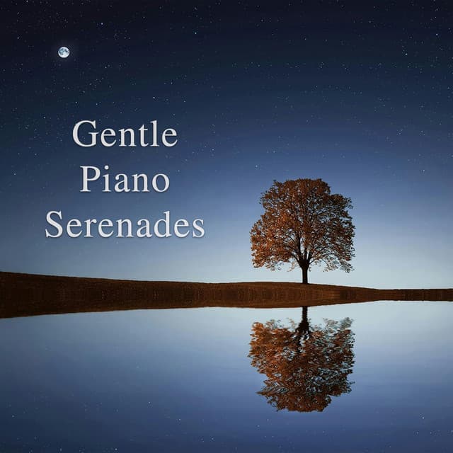 Gentle Piano Serenades - Johann Sebastian Bach