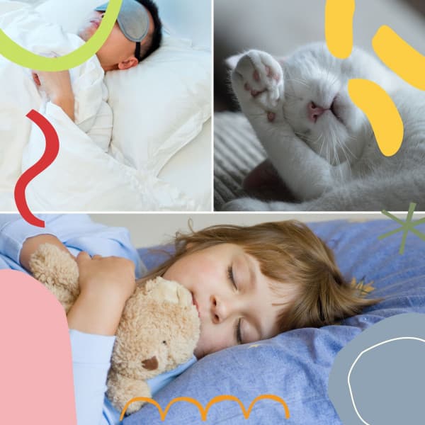 Indian Chill Out Music - Background for Tranquil Nights - Deep Zen Ambient