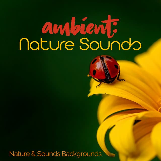 Ambient: Nature Sounds - Nature & Sounds Backgrounds