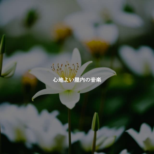 心地よい屋内の音楽 - Easy Sunday Morning Music