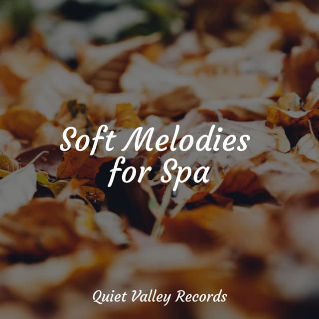 Soft Melodies for Spa - Massagem Coleção de Músicas