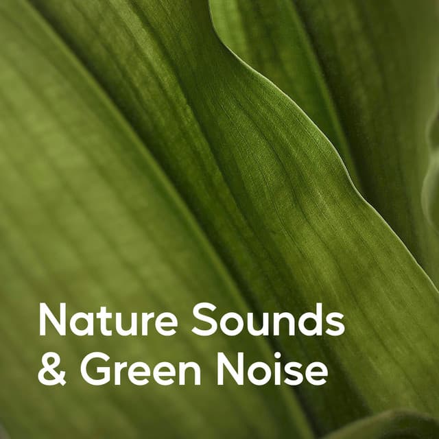 Nature Sounds & Green Noise - Deep Sleep Nature Sounds