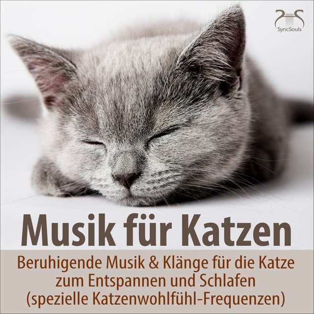 Musik für Katzen TA