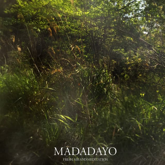 Madadayo - Fresh Air and Meditation