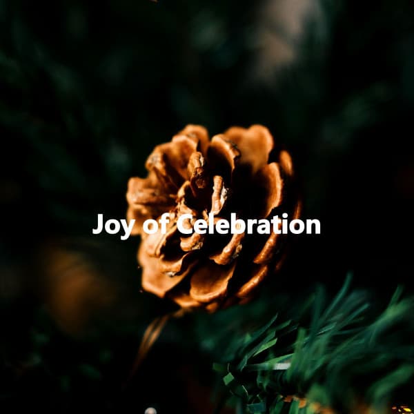 Joy of Celebration - Smooth Dinner Jazz Group