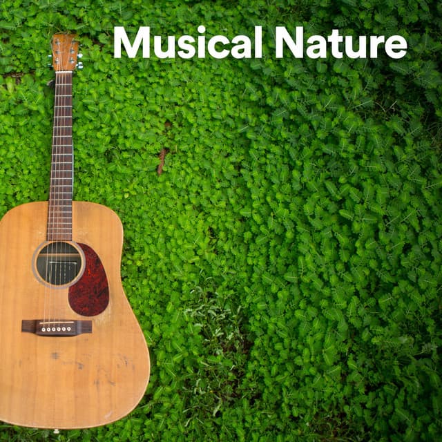 Musical Nature - Thanael Wendtura