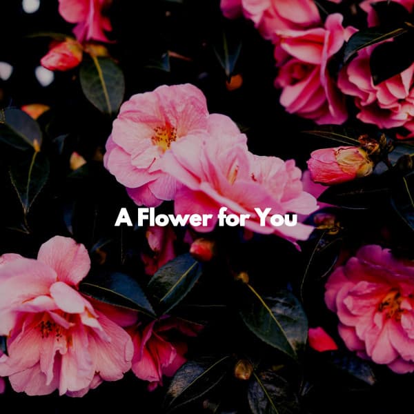 A Flower for You - Tranquilo Trabajar desde Casa