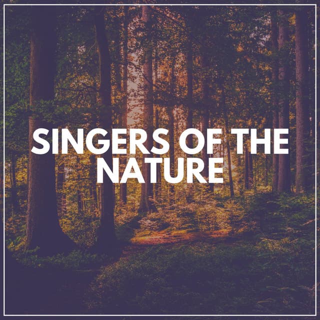 Singers of the Nature - Florida Nature