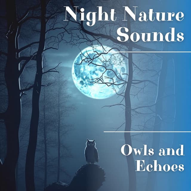 Owls and Echoes - Night Nature Sounds