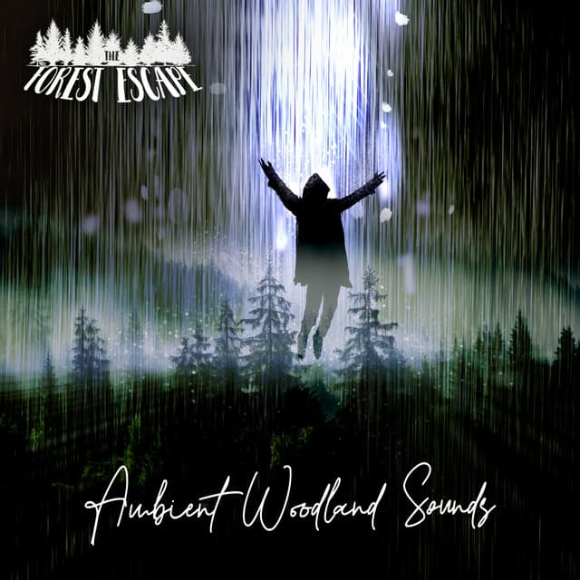 Ambient Woodland Sounds - The Forest Escape