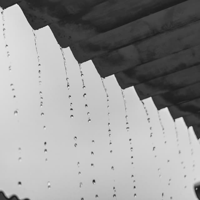 50 Ambient Rains: Veil of Raindrops - Meditation Rain Sounds