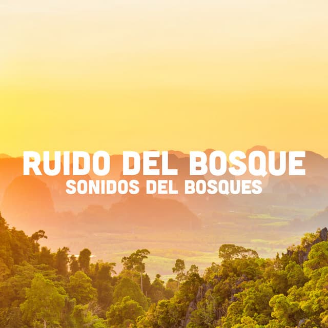 Sonidos Del Bosques